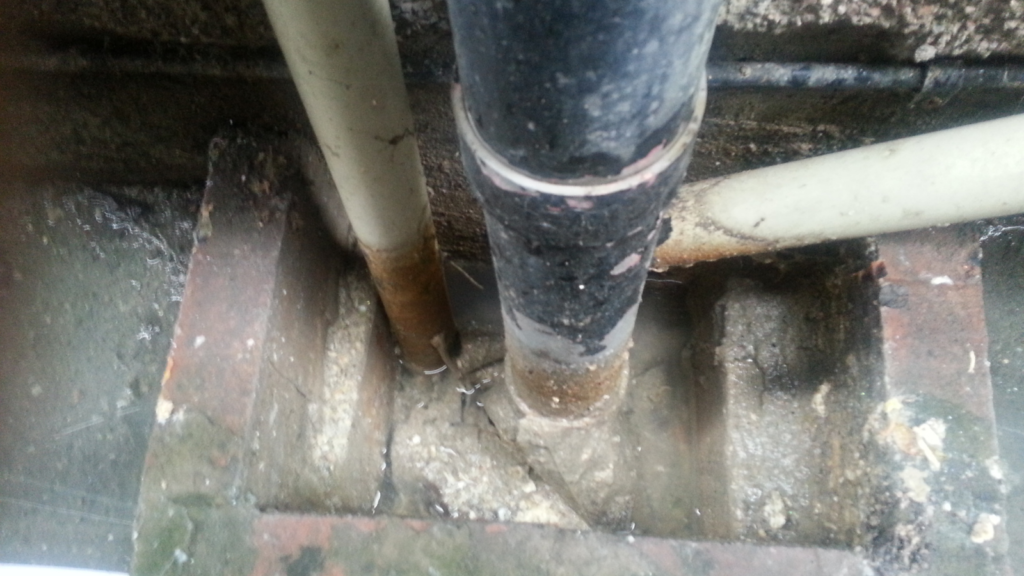drain camera surveys, drain surveys, drain surveys for pests, cracked pipes, external entry point